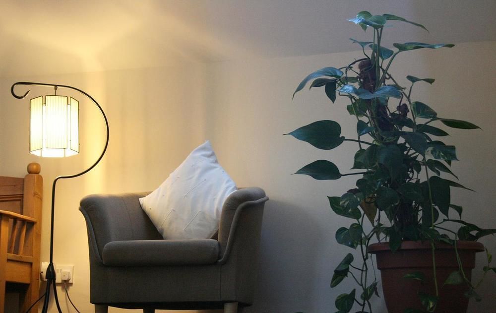 Ross House Bed and Breakfast Roscommon Exteriör bild